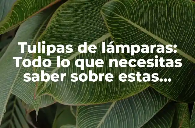 Tulipas de Lámparas: Todo Lo que Necesitas Saber sobre Estas Hermosas Flores