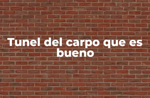 Tunel Del Carpo que es Bueno