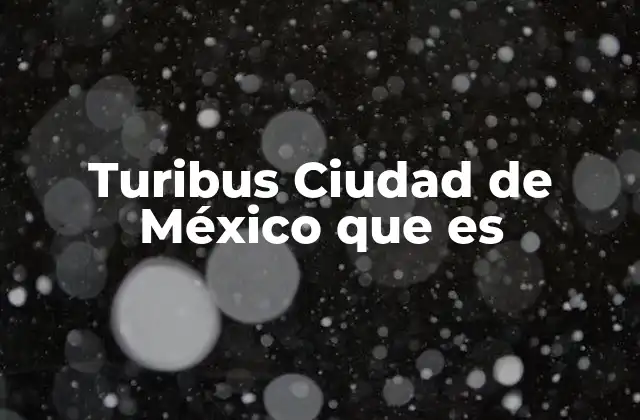 Turibus Ciudad de México que es