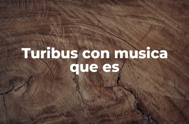 Turibus con Musica que es 2 Cómo los turibus con música enriquecen la experiencia turística