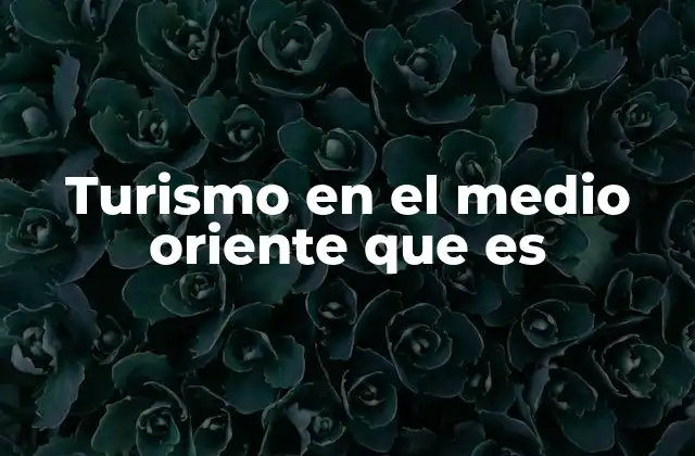 Turismo en el Medio Oriente que es