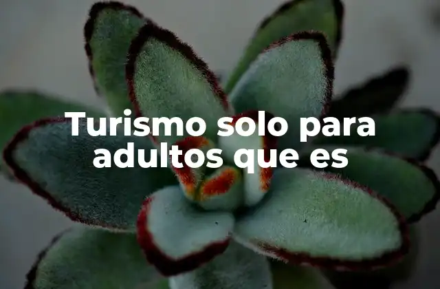 Turismo Solo para Adultos que es