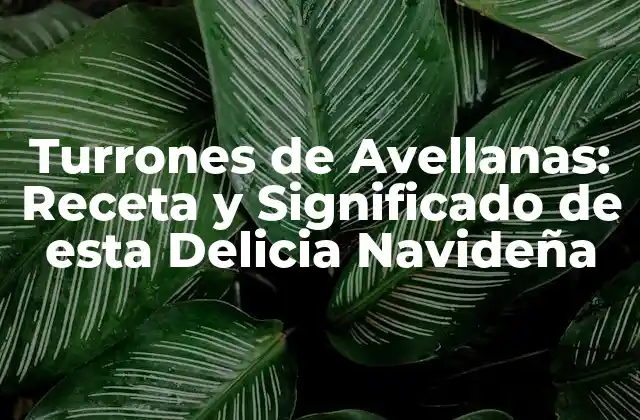 Turrones de Avellanas: Receta y Significado de Esta Delicia Navideña