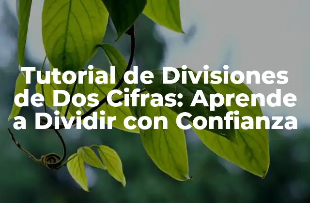 Tutorial de Divisiones de Dos Cifras: Aprende a Dividir con Confianza