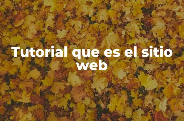 Tutorial que es el Sitio Web
