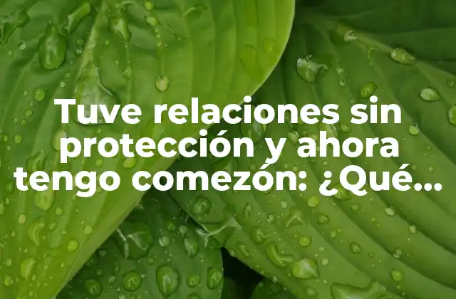 Tuve Relaciones sin Protección y Ahora Tengo Comezón: ¿qué Pasa Ahora?