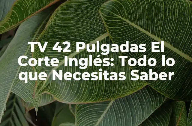 Tv 42 Pulgadas el Corte Inglés: Todo Lo que Necesitas Saber