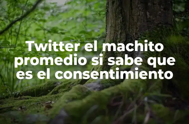 Twitter el Machito Promedio Si Sabe que es el Consentimiento