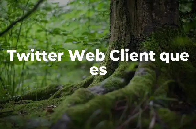 Twitter Web Client que es 2 La evolución de las herramientas de gestión de redes sociales