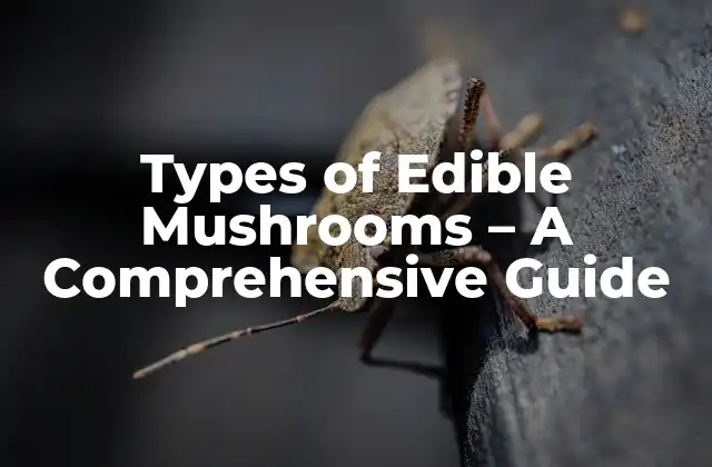 Types Of Edible Mushrooms – a Comprehensive Guide