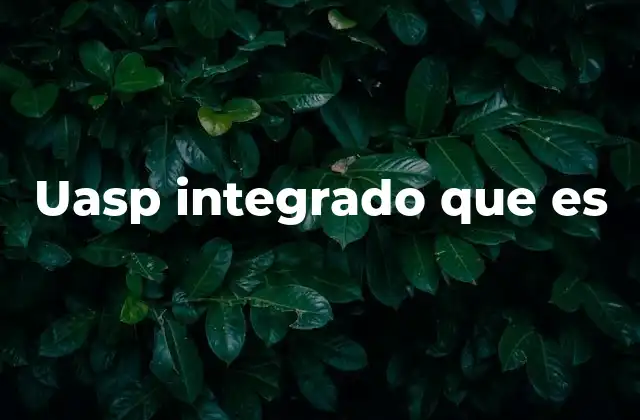 Uasp Integrado que es