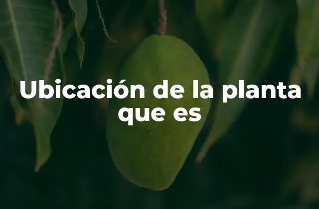 Ubicación de la Planta que es