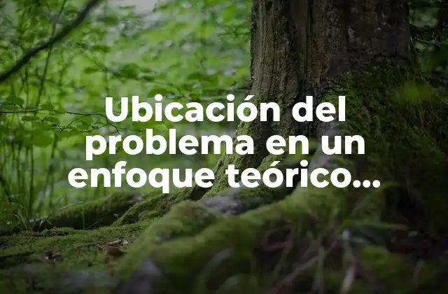 Ubicación Del Problema en un Enfoque Teórico Determinado que es