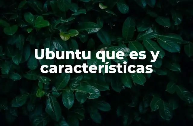 ¿Cómo Ubuntu se diferencia de otros sistemas operativos?
