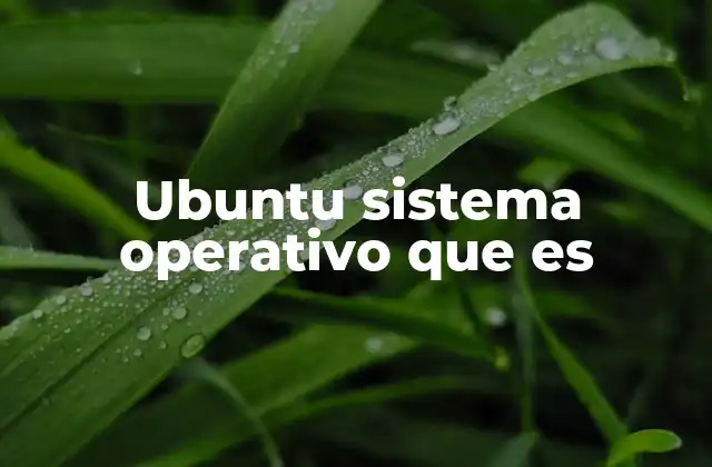 Ubuntu Sistema Operativo que es