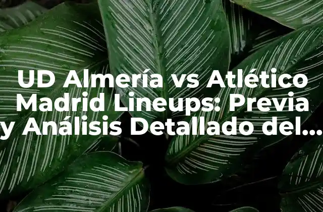 Ud Almería Vs Atlético Madrid Lineups: Previa y Análisis Detallado Del Partido