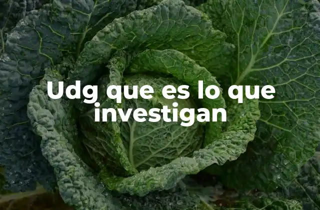 Udg que es Lo que Investigan 2 El papel de la UDG en la ciencia y la tecnología