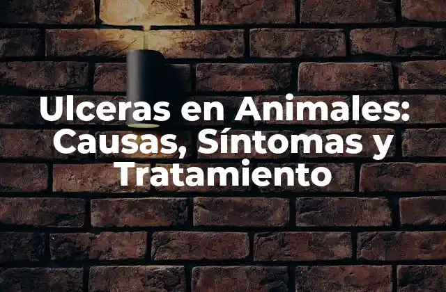 Ulceras en Animales: Causas, Síntomas y Tratamiento