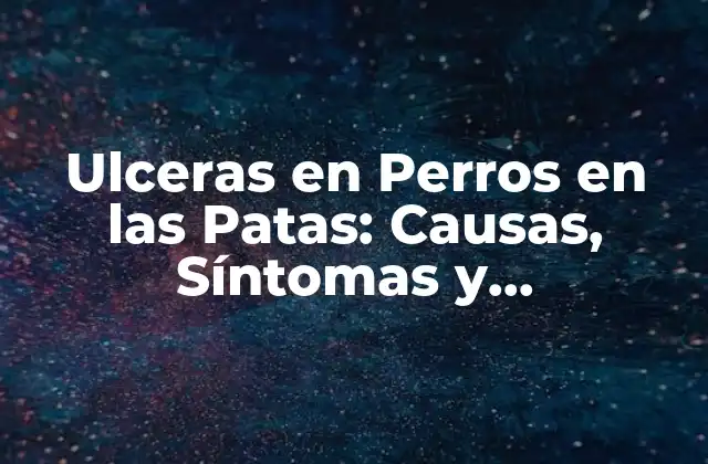 Ulceras en Perros en las Patas: Causas, Síntomas y Tratamiento