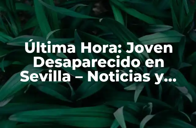 Última Hora: Joven Desaparecido en Sevilla – Noticias y Casos Recientes