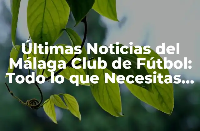 Últimas Noticias Del Málaga Club de Fútbol: Todo Lo que Necesitas Saber