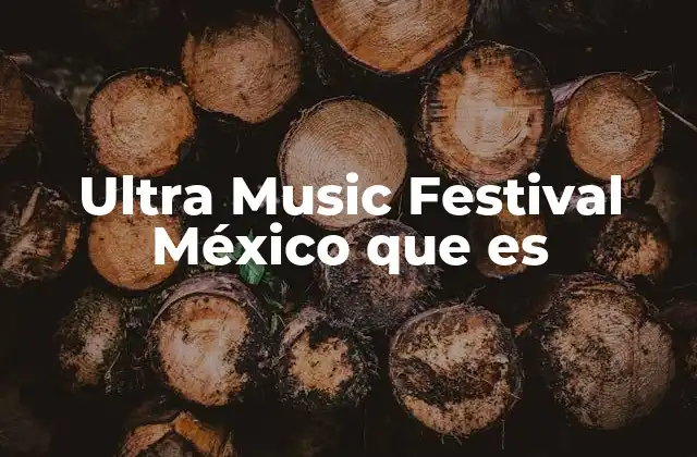 Ultra Music Festival México que es 2 La evolución del Ultra Music Festival en México