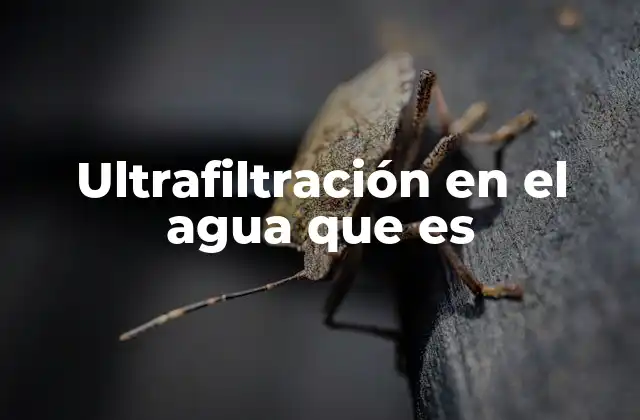 Ultrafiltración en el Agua que es