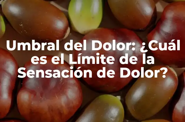 Umbral Del Dolor: ¿cuál es el Límite de la Sensación de Dolor? 2 Definición y Concepto del Umbral del Dolor