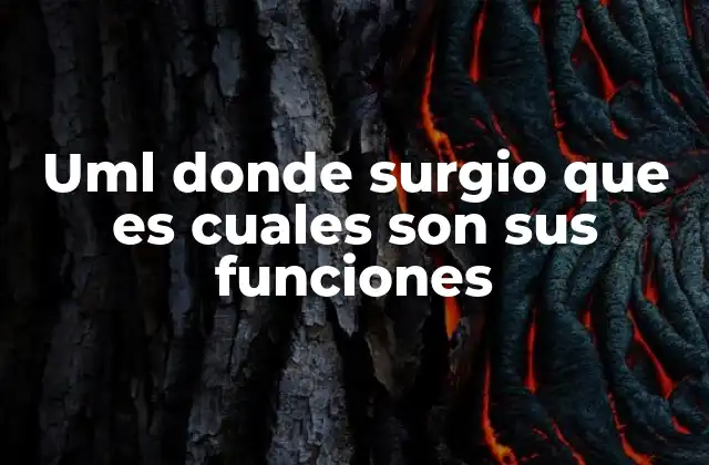 Uml Donde Surgio que es Cuales Son Sus Funciones