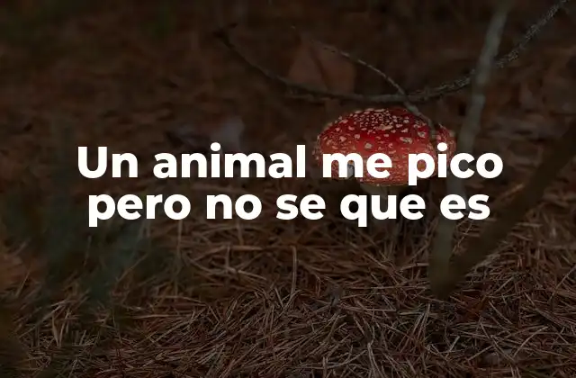 Un Animal Me Pico pero No Se que es