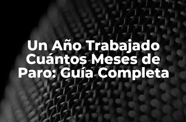 Un Año Trabajado Cuántos Meses de Paro: Guía Completa