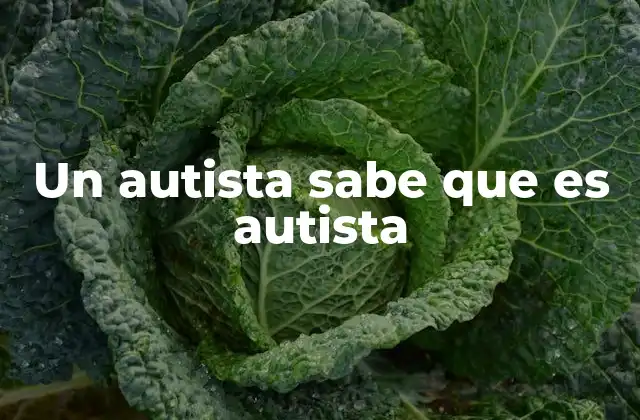 Un Autista Sabe que es Autista