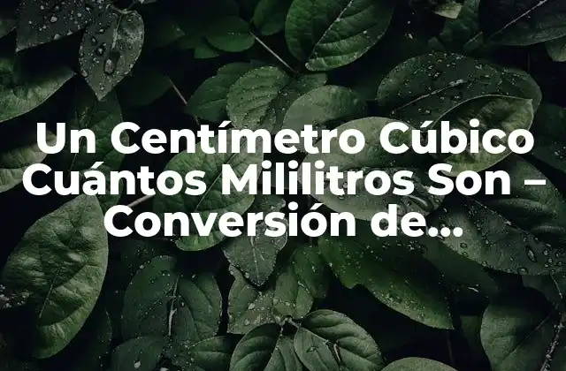 Un Centímetro Cúbico Cuántos Mililitros Son – Conversión de Unidades