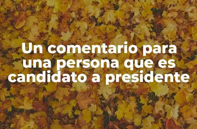 Un Comentario para una Persona que es Candidato a Presidente