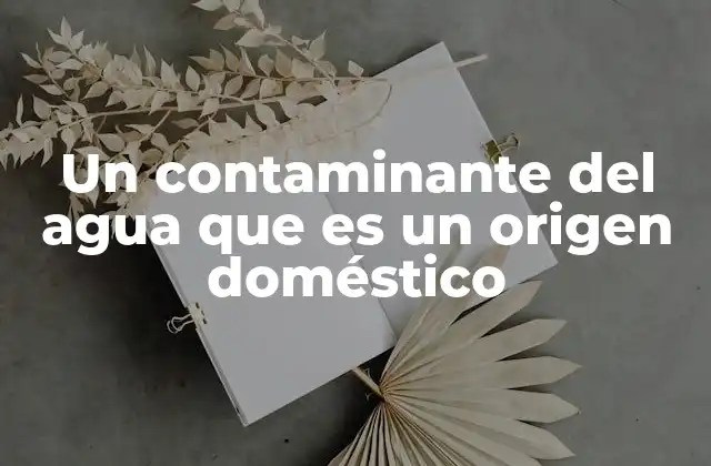 Un Contaminante Del Agua que es un Origen Doméstico