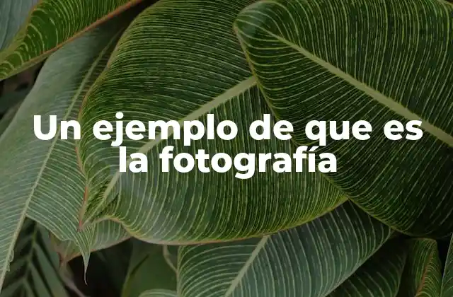 Un Ejemplo de que es la Fotografía
