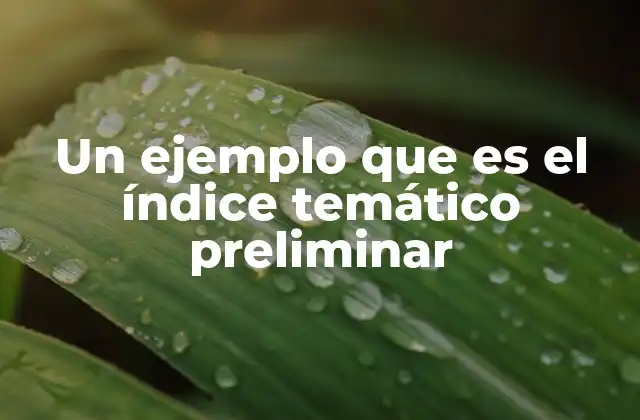 Un Ejemplo que es el Índice Temático Preliminar
