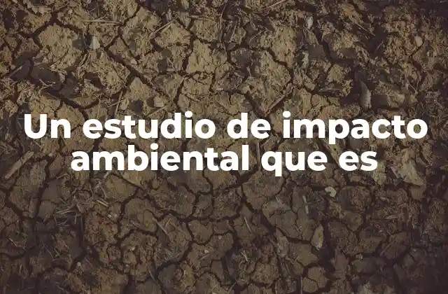 Un Estudio de Impacto Ambiental que es