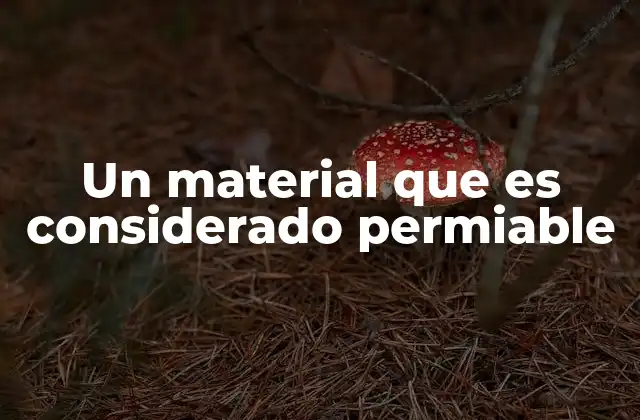 Un Material que es Considerado Permiable