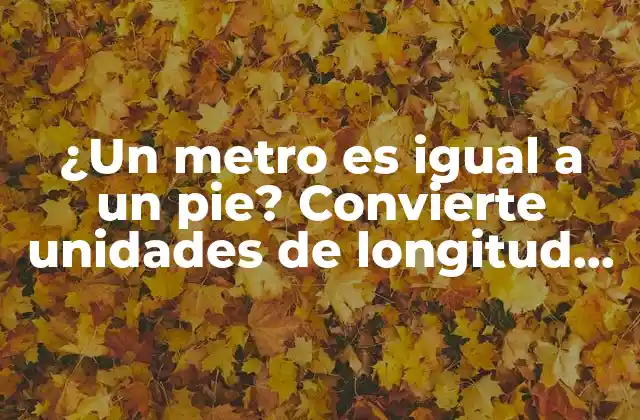¿un Metro es Igual a un Pie? Convierte Unidades de Longitud de Manera Sencilla