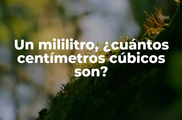 Un Mililitro, ¿cuántos Centímetros Cúbicos Son?