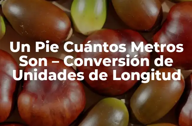 Un Pie Cuántos Metros Son - Conversión de Unidades de Longitud 2 Historia de la Unidad de Longitud Pie