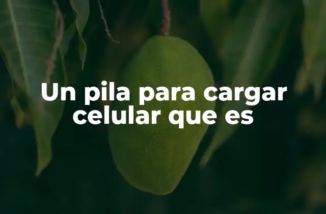 Un Pila para Cargar Celular que es