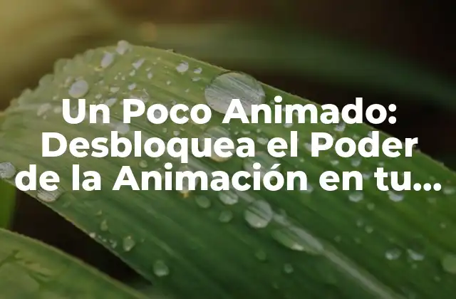 Un Poco Animado: Desbloquea el Poder de la Animación en Tu Vida