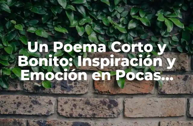 Un Poema Corto y Bonito: Inspiración y Emoción en Pocas Palabras