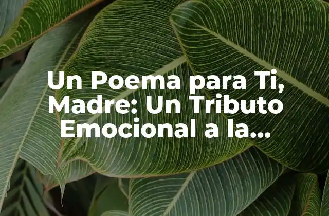 Un Poema para Ti, Madre: un Tributo Emocional a la Maternidad