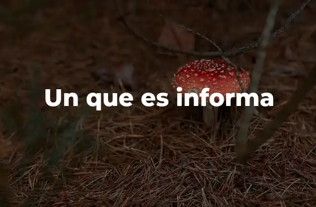 Un que es Informa
