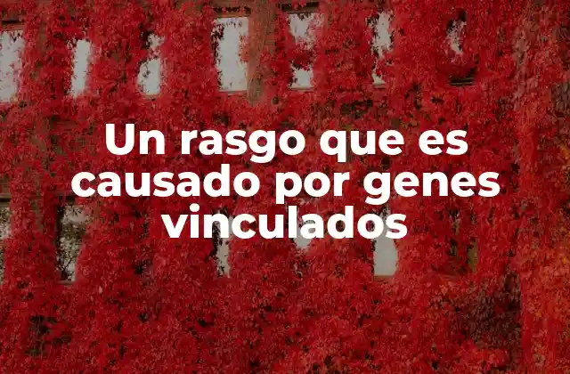 Un Rasgo que es Causado por Genes Vinculados