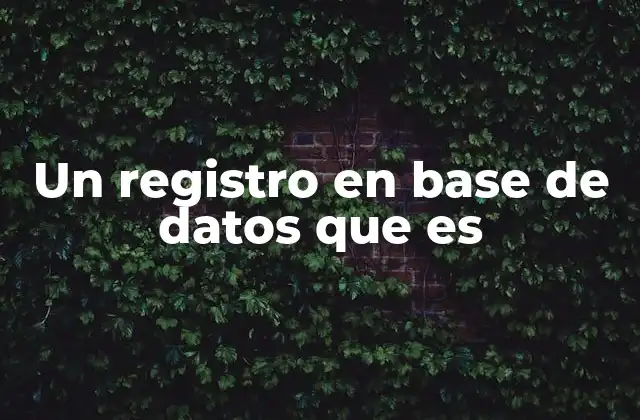 Un Registro en Base de Datos que es
