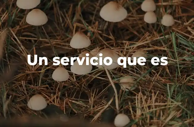 Un Servicio que es